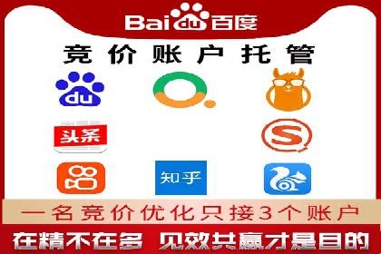 SEM优化策略：实战案例解析